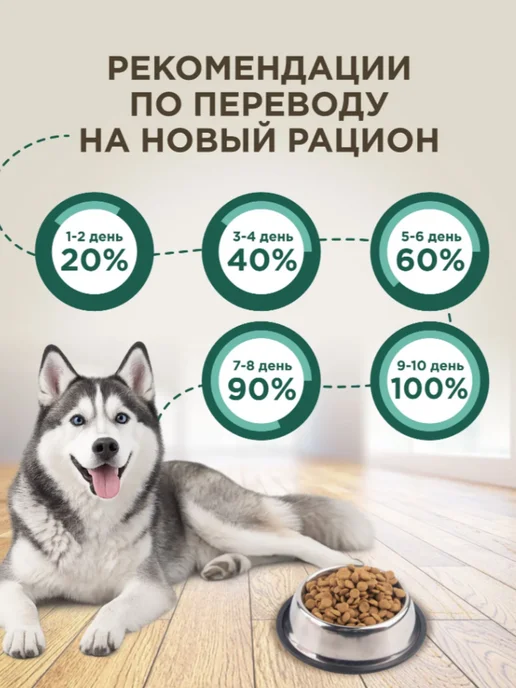 Сухой корм Chester Лайт для собак, крупные, средние, индейка, 10 кг, фото 6