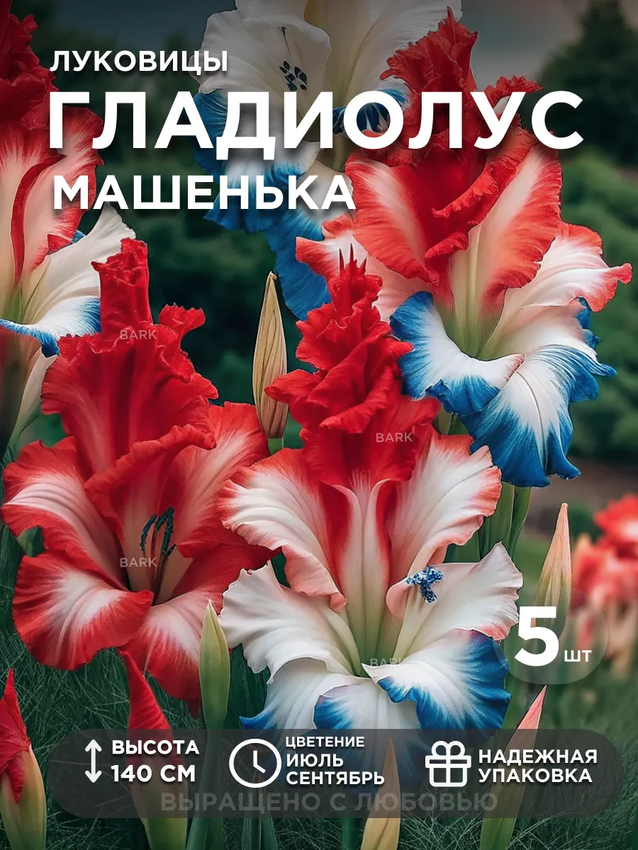 Гладиолус луковицы Машенька 5 шт