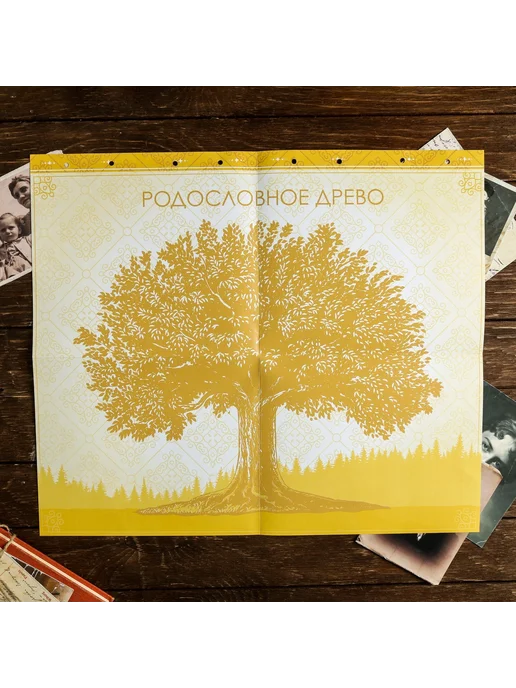 Сималенд Родословная книга «Книга нашей семьи» Родословные книги, вариант, фото 8