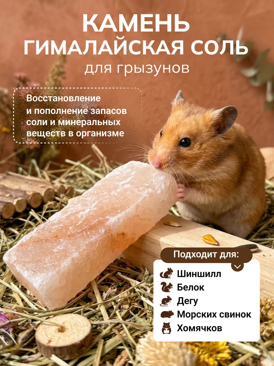 Гималайская соль для грызунов
