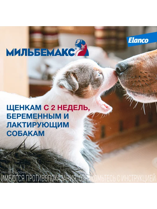 мильбемакс Мильбемакс от гельминтов для крупных собак 12,5 мг 125 мг та…, вариант, фото 6