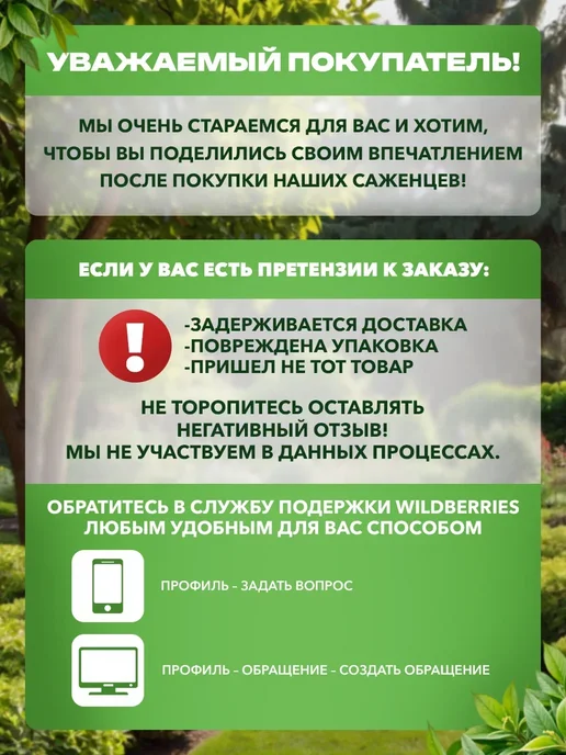 САД ПРОФИ Гладиолусы луковицы Оскар, красный, фото 3