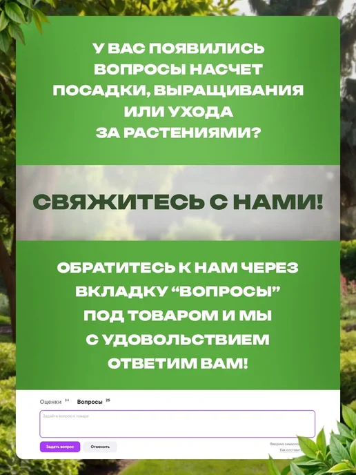 САД ПРОФИ Гладиолусы луковицы Оскар, красный, фото 4