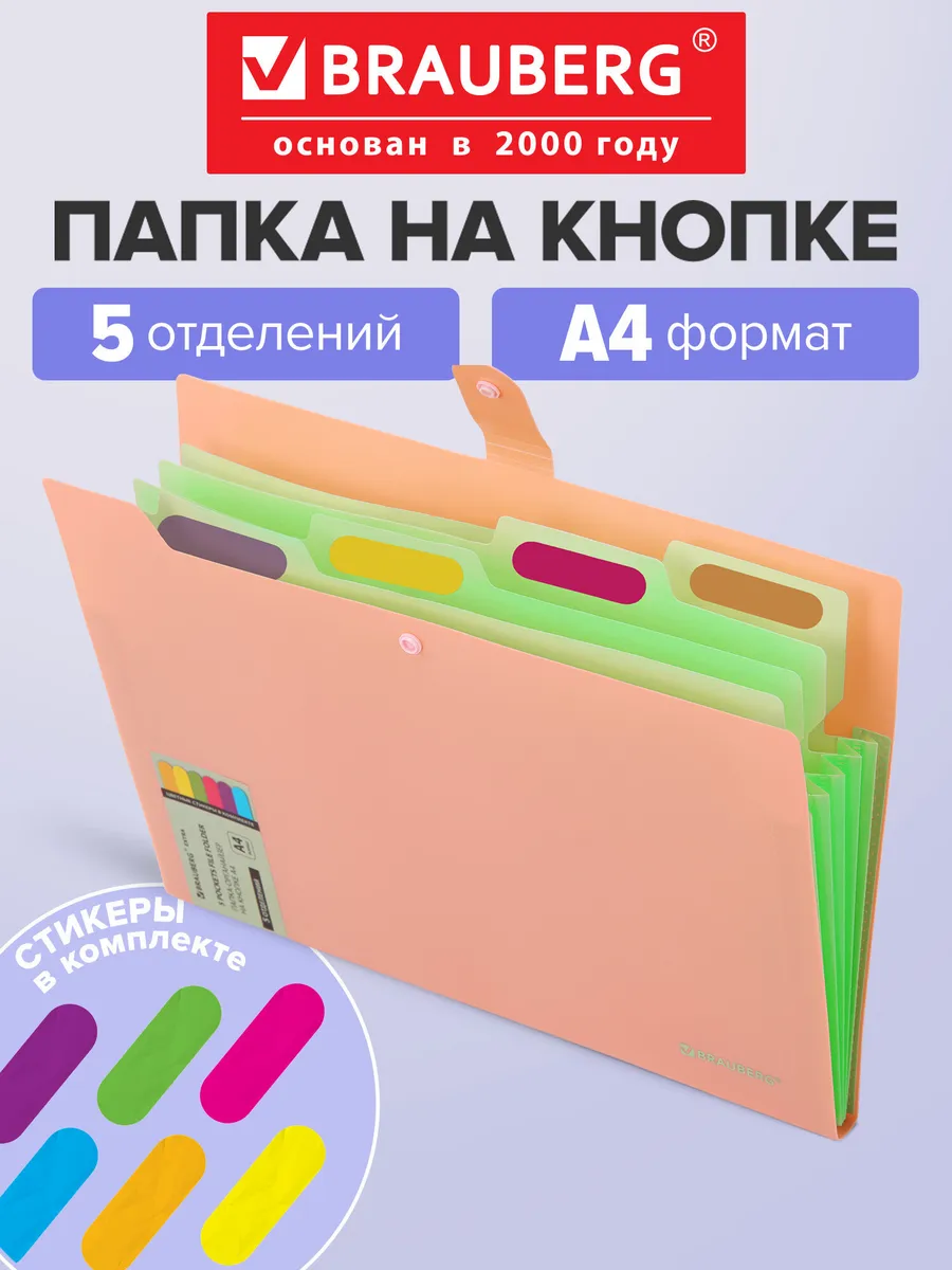Папка для документов А4, органайзер на кнопке 5 отделений