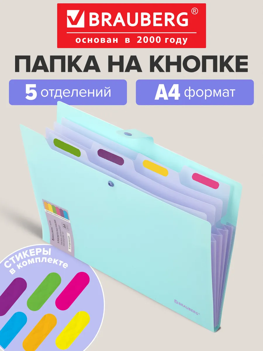 Папка для документов А4, органайзер на кнопке 5 отделений