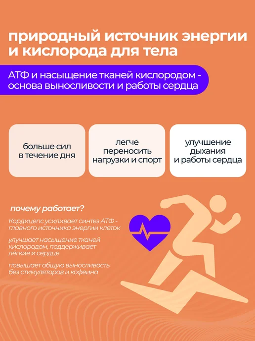 ALTIME Ежовик гребенчатый Кордицепс Веселка в капсулах, вариант, фото 2