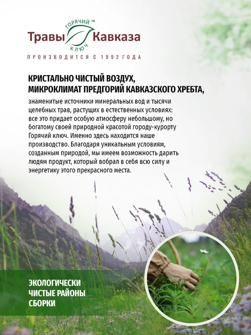 Травы Кавказа Травяной сбор №58 При гайморите, вариант, фото 4