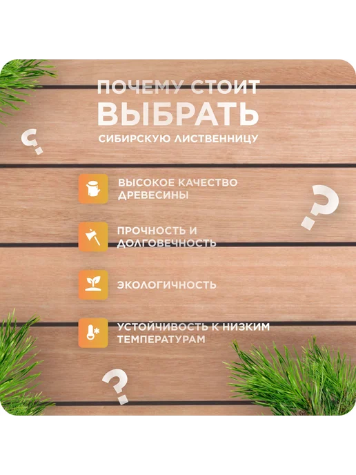 Планкен из лиственницы сорт ВС 20х120х4000 мм - 3 шт, 120x2500 мм, 3 шт, фото 2