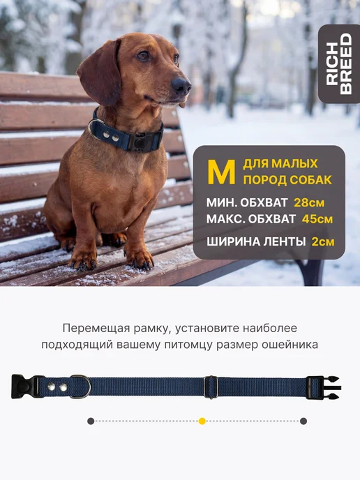 RICH BREED Ошейник для собак мелких и средних пород повседневный, вариант, фото 2