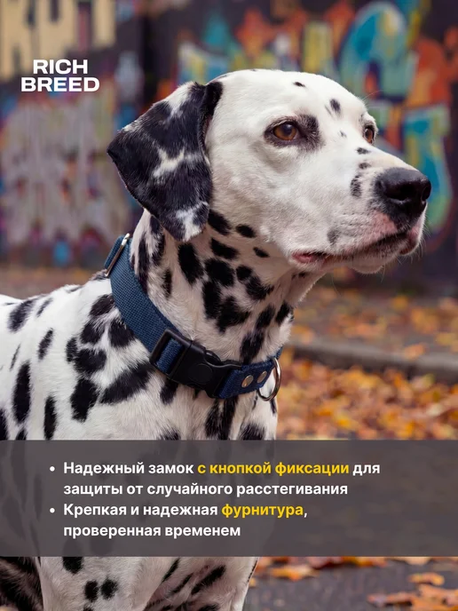 RICH BREED Ошейник для собак мелких и средних пород повседневный, вариант, фото 3