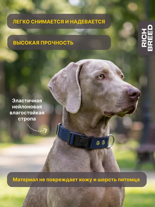 RICH BREED Ошейник для собак мелких и средних пород повседневный, вариант, фото 4