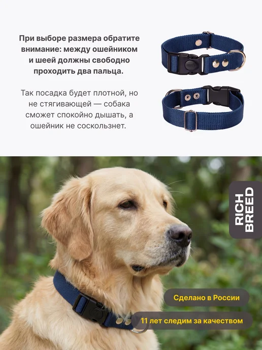 RICH BREED Ошейник для собак мелких и средних пород повседневный, вариант, фото 5