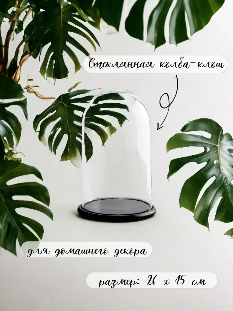 Стеклянный футляр на подставке дерево для выкладки товара