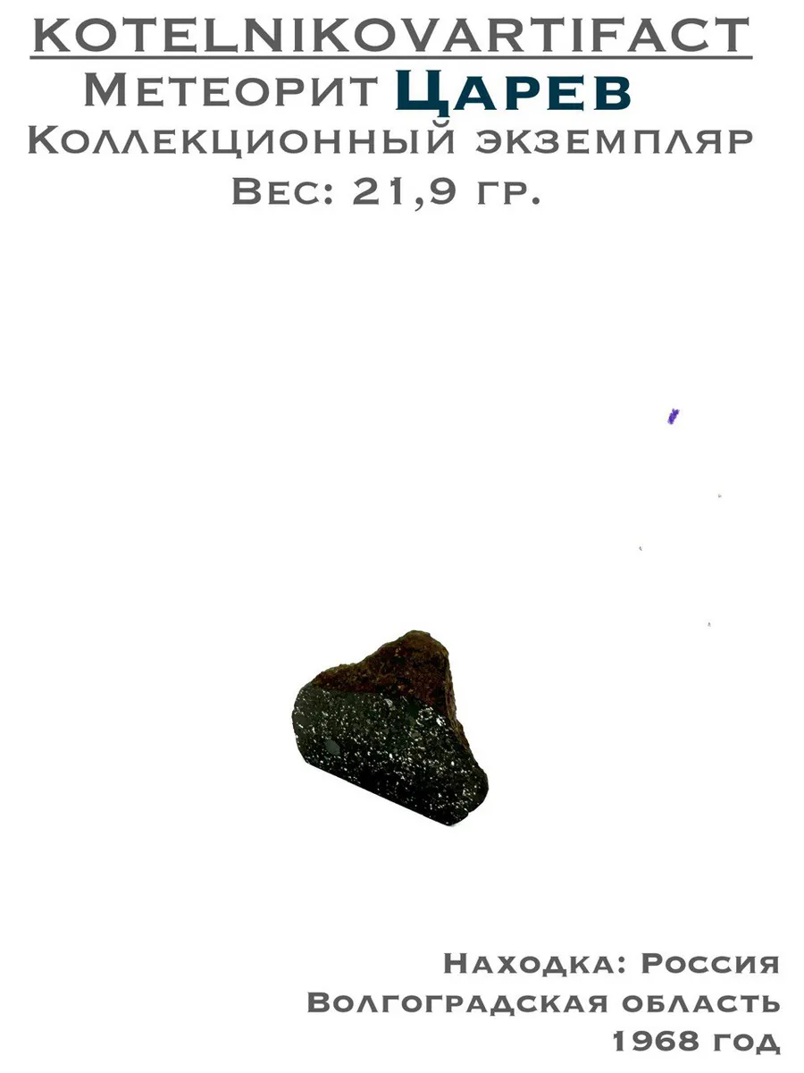 Каменный метеорит Царев - 21,9 гр.