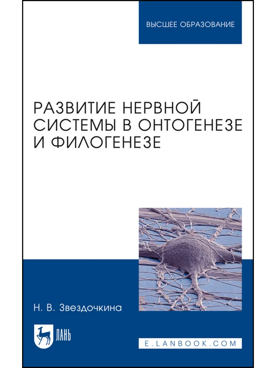Развитие нервной системы в онтогенезе и филогенезе. Учебное