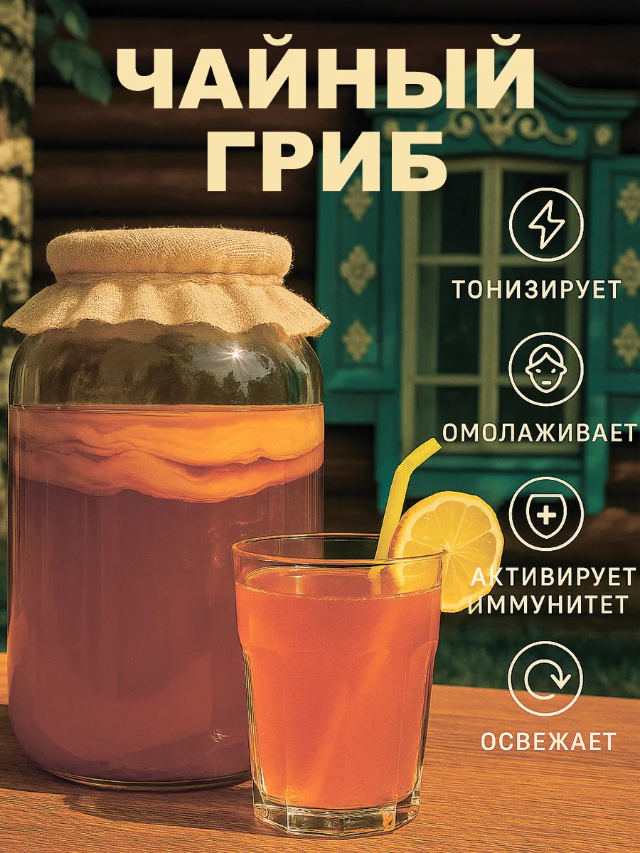 Чайный гриб живой