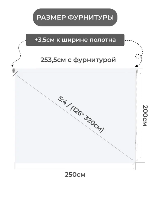 Gozhy Экран для проектора рулонный 200 х 220см, 250см, фото 2