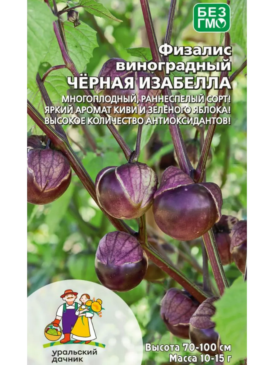 Семена Физалис Виноградный Черная Изабелла