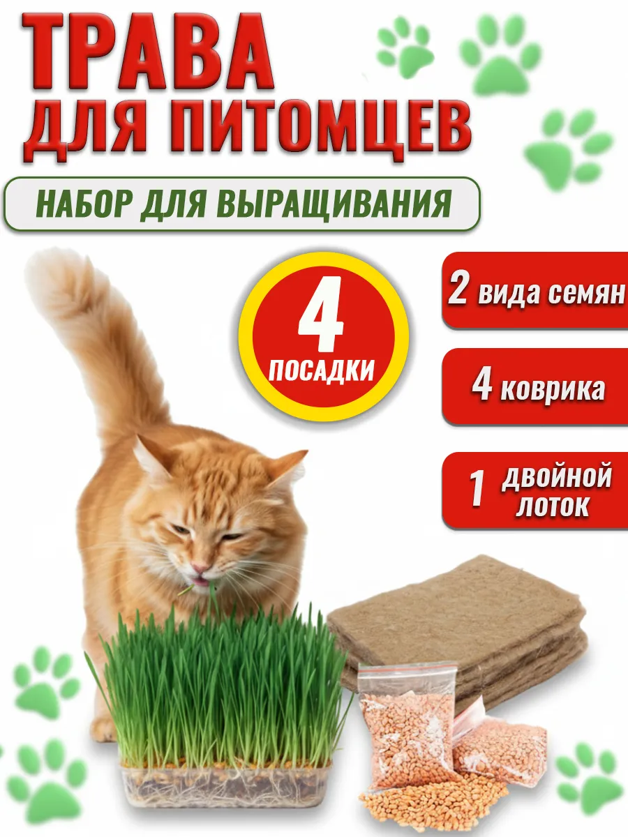 Трава для питомцев 4 посадки