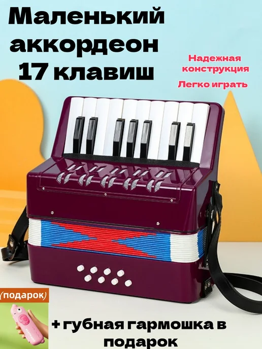 Детский аккордеон для начинающих В ПОДАРОК губная гармошка, вариант