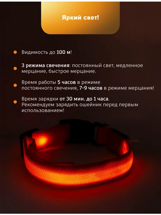 ЗВЕРВЕРИЯ Светящийся ошейник для собак, оранжевый, фото 3