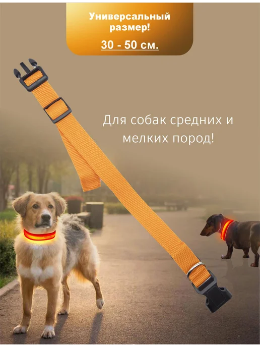 ЗВЕРВЕРИЯ Светящийся ошейник для собак, оранжевый, фото 4