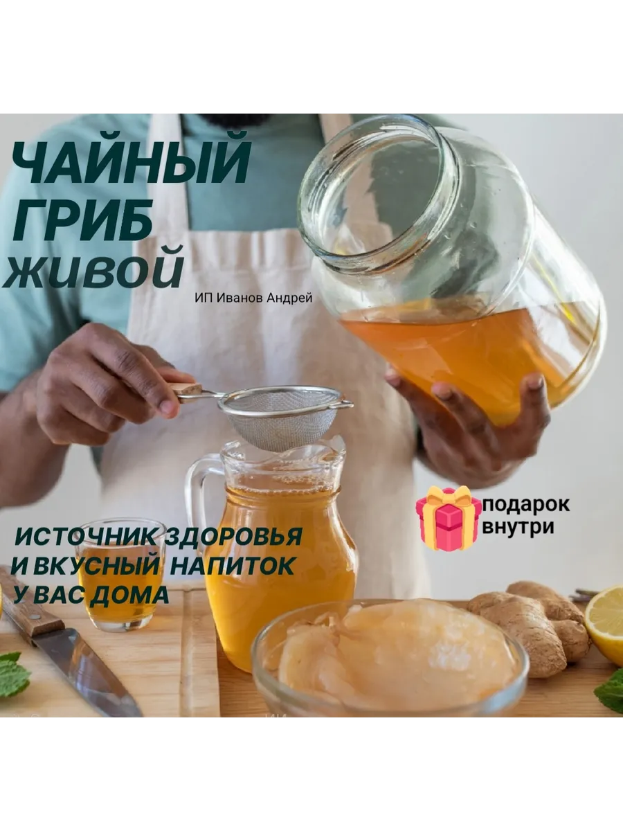Чайный гриб Живой. Комбуча для выращивания.