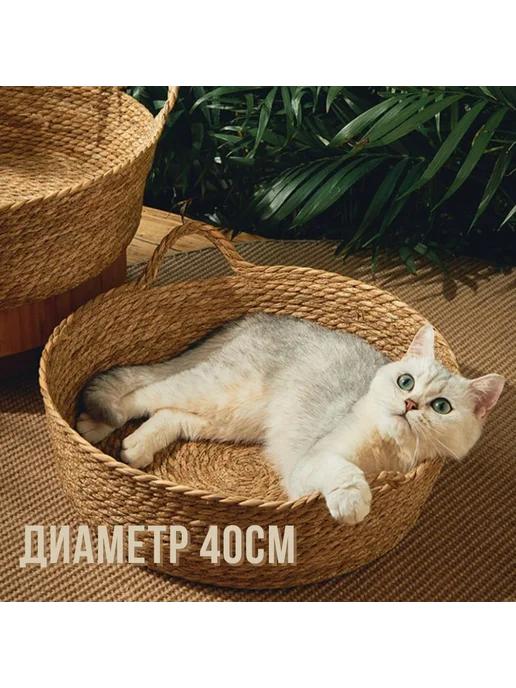 Коврик для животных Бамбук Бежевый, бежевый, фото 2