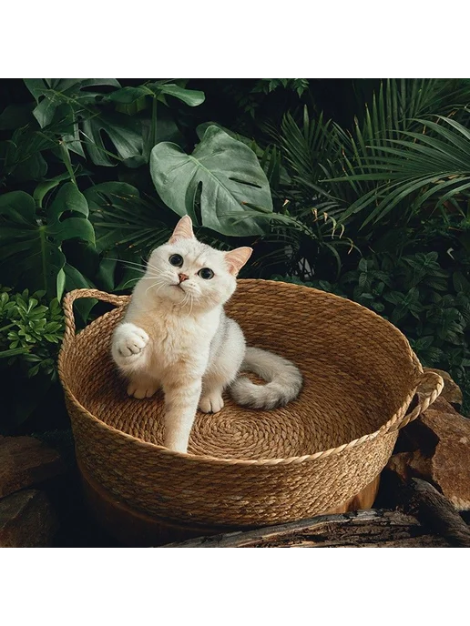 Коврик для животных Бамбук Бежевый, бежевый, фото 4