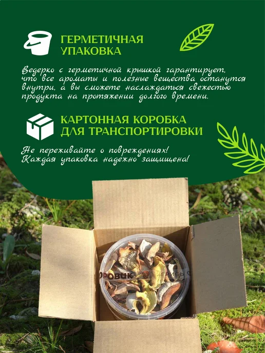 ПАН БОРОВИК Сушеные лесные грибы микс 200 г, 100 г, фото 4