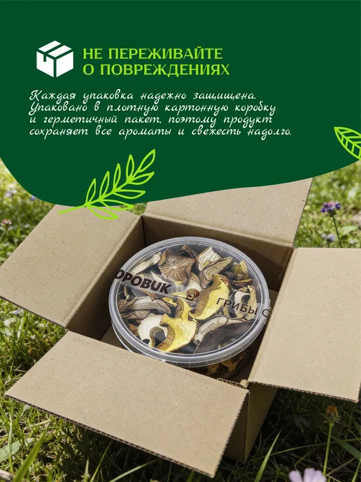 ПАН БОРОВИК Сушеные лесные грибы микс 200 г, 100 г, фото 5