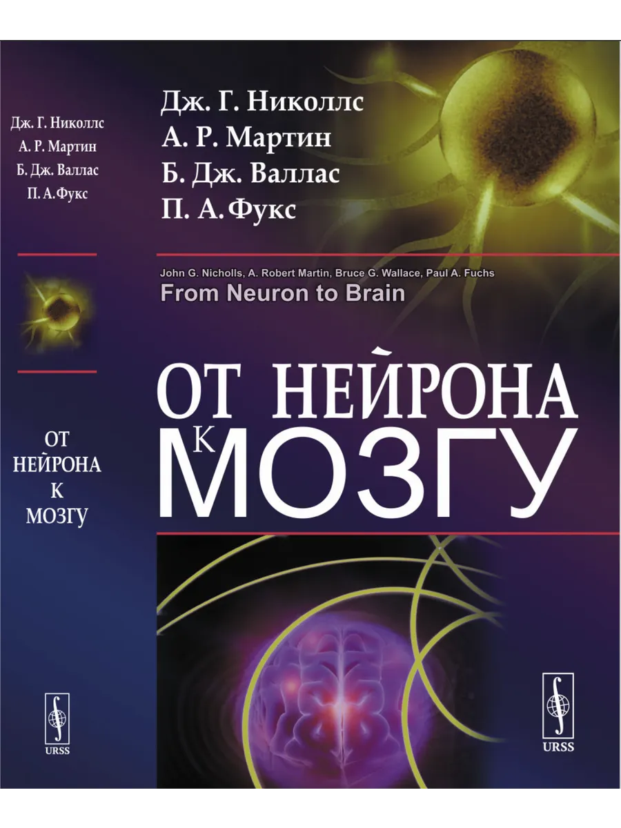 От нейрона к мозгу