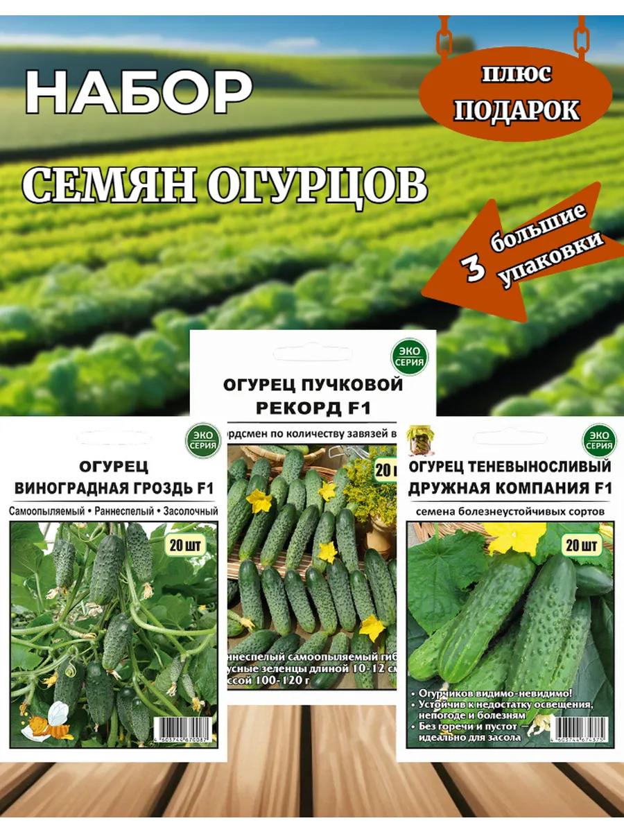Набор семян огурцов.
