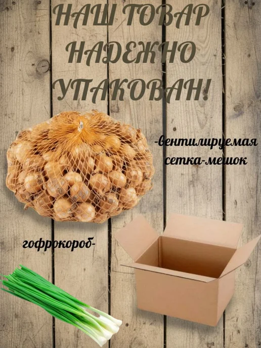 луковая грядка Лук севок на посадку выборка Дедуля 1 кг, 1 кг, фото 4