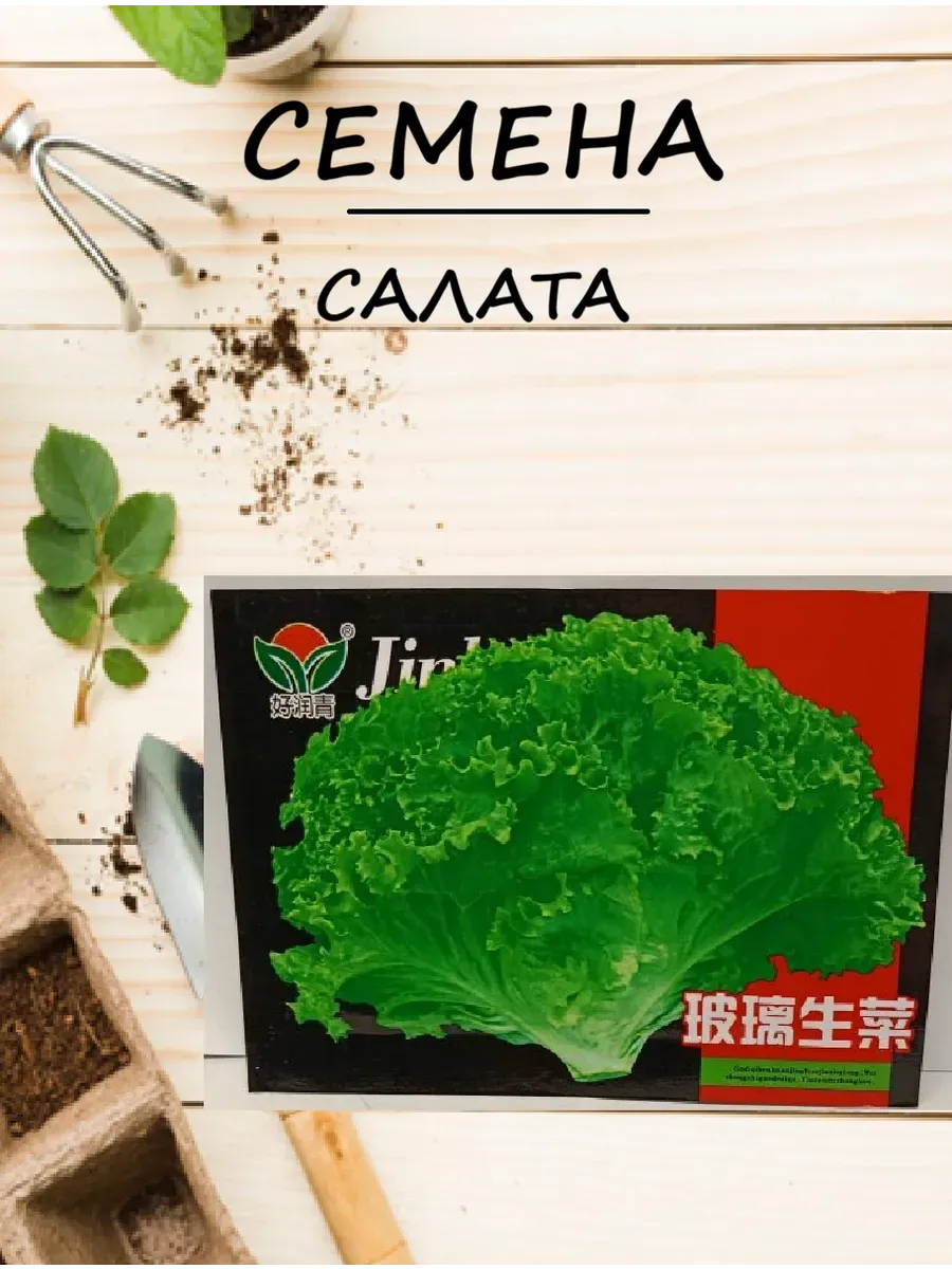 Семена салата
