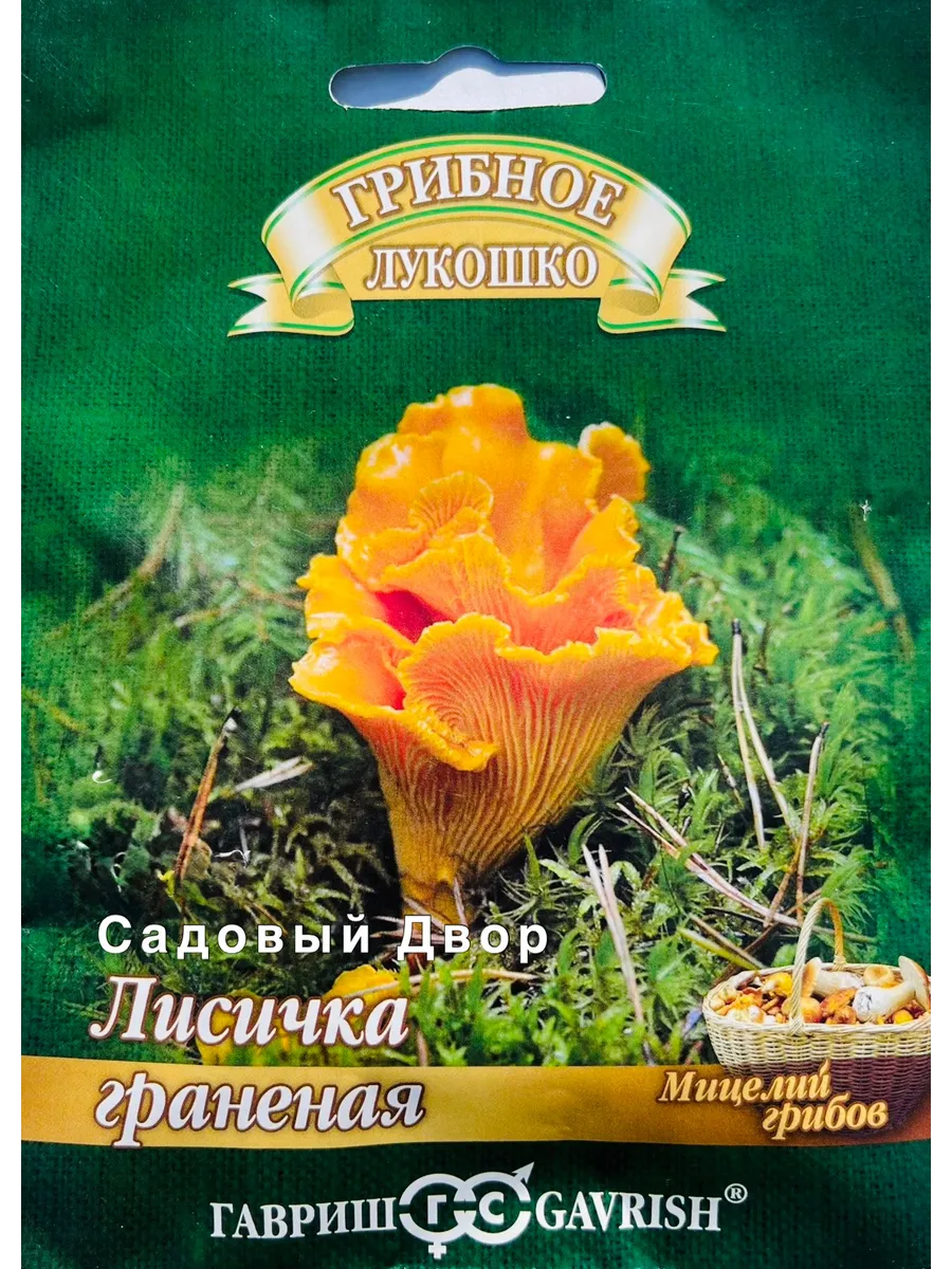 Гриб Лисичка Граненая, мицелий зерновой, 1 пакет