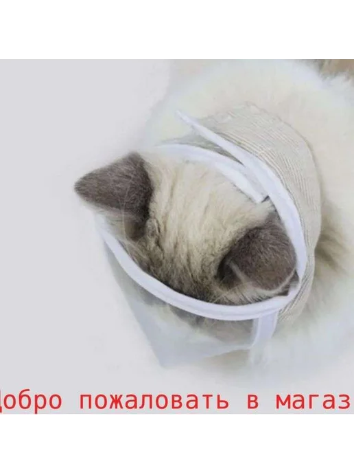 Намордник ветеринарный для кошек M белый, белый, фото 6