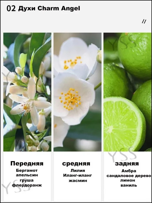 Набор парфюмерный Амбровый Фруктовый Цитрусовый 120.1 мл, 90,1 мл, 3 шт, фото 2