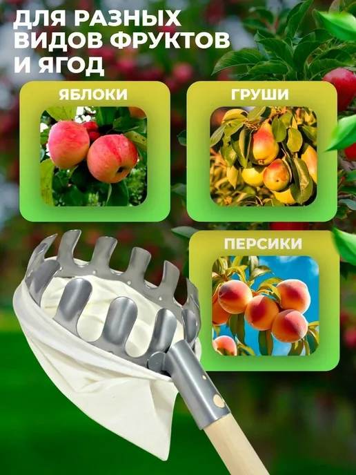 Плодосборник Металл Белый Серебристый 21х15.5х5см, 21x15.5, фото 3