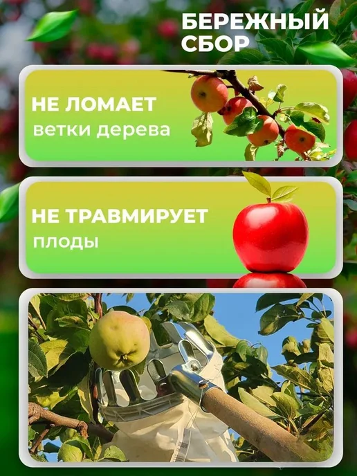 Плодосборник Металл Белый Серебристый 21х15.5х5см, 21x15.5, фото 4