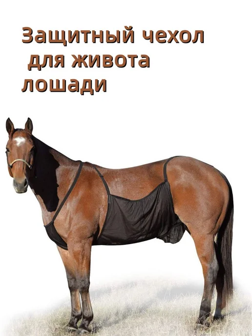 Попона для лошади Черный матовый XL, черный, фото 3
