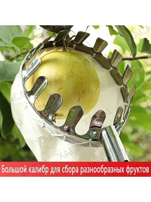 Плодосборник пластик белый 14х14х7см Арт. 2746750181, 14x14x7 см, фото 2