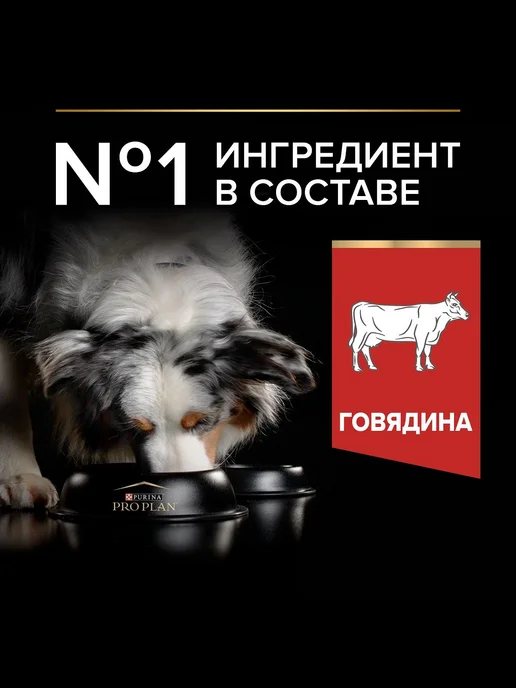 Сухой корм PRO PLAN Duo Delice для собак, крупные, средние, 2,6 кг, фото 2