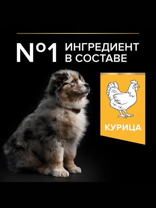 Сухой корм PRO PLAN Healthy Start для собак, средние, щенки, курица, 12,3 кг, фото 2
