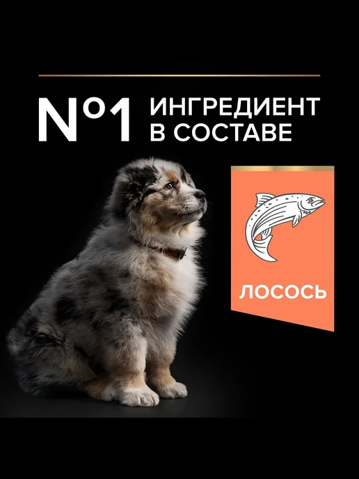 Сухой корм PRO PLAN Skin для собак, средние, чувствительное пищеварение, щенки, лосось, 12,2 кг, фото 2
