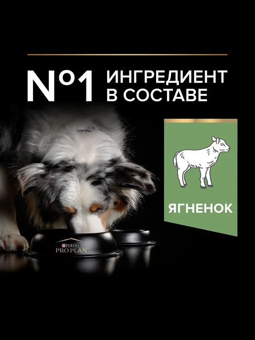 Сухой корм PRO PLAN Digestion Ягн… для собак, средние, чувствительное пищеварение, 1,54 кг, фото 2
