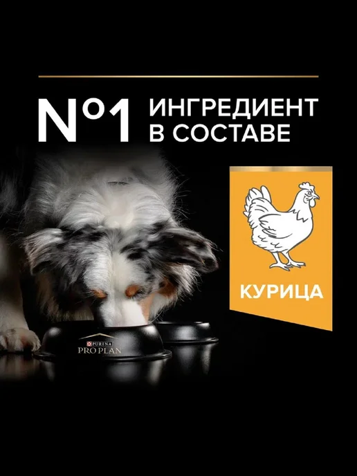 Сухой корм PRO PLAN Everyday Nutrition для собак, средние, 14,3 кг, фото 2