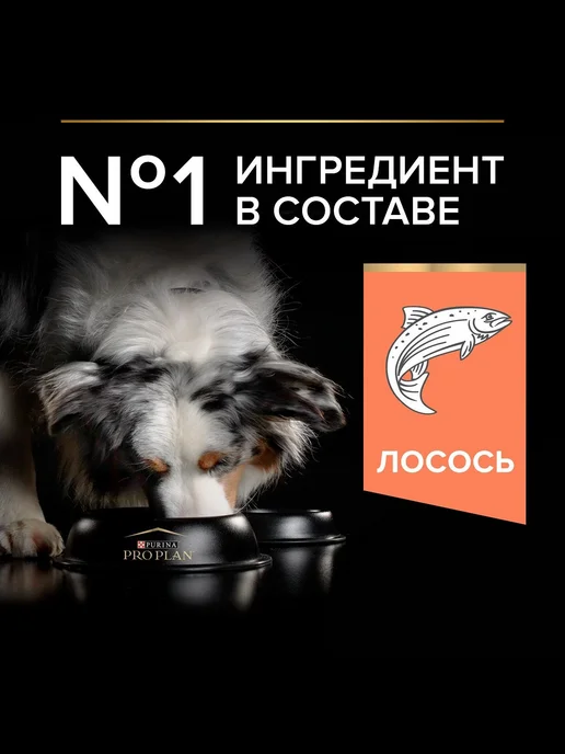 Сухой корм PRO PLAN Skin для собак, средние, чувствительное пищеварение, лосось, 7,1 кг, фото 2