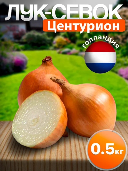 Лук - севок Центурион 500г. на посадку, семена лука, 500 г