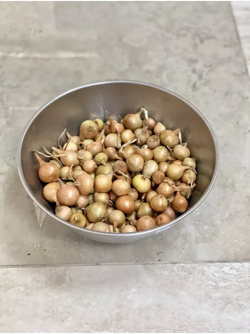 Лук - севок Центурион 500г. на посадку, семена лука, 500 г, фото 2